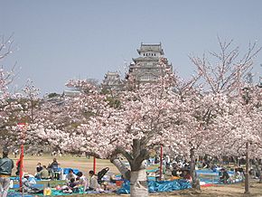 Castle Himeji sakura02