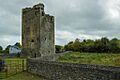 Castles of Munster, Grallagh, Tipperary - geograph.org.uk - 1542258