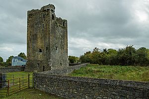 Castles of Munster, Grallagh, Tipperary - geograph.org.uk - 1542258.jpg