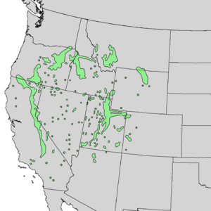 Cercocarpus ledifolius range map 2.png
