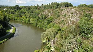 Cluseboel