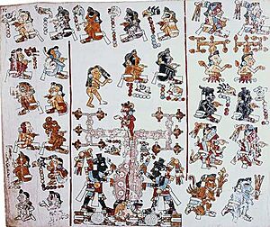 Codex Vindobonensis Mexicanus I