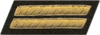 Confederate States of America First Lieutenant.png