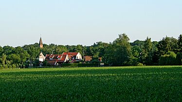 De Lutte - panoramio