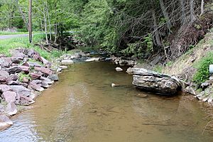 Deerlick Run looking downstream