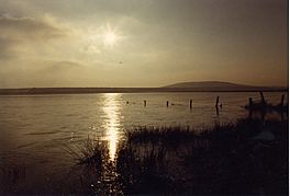 A lake with reeds and a hill beyond