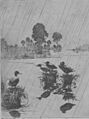 Ducks in the Rain 1918 Frank Weston Benson