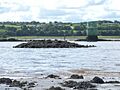 Dumbuck Perch - geograph.org.uk - 932278