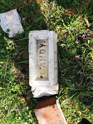 Efail Isaf Railway Station Platform Candy Brick May 14