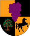 Escudo de Villa Alegre