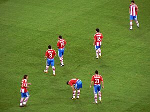 FIFA World Cup 2010 Italy Paraguay3