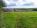 Fields Near Tregony - geograph.org.uk - 1477977
