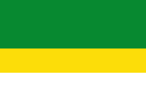 Flag of Madrid (Cundinamarca)