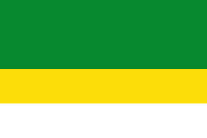 Flag of Madrid (Cundinamarca)