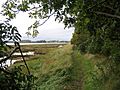 Footpath by River Deben, Suffolk - geograph.org.uk - 72634