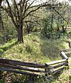 French Gulch dam and reservoir 1 - Jacksonville Oregon