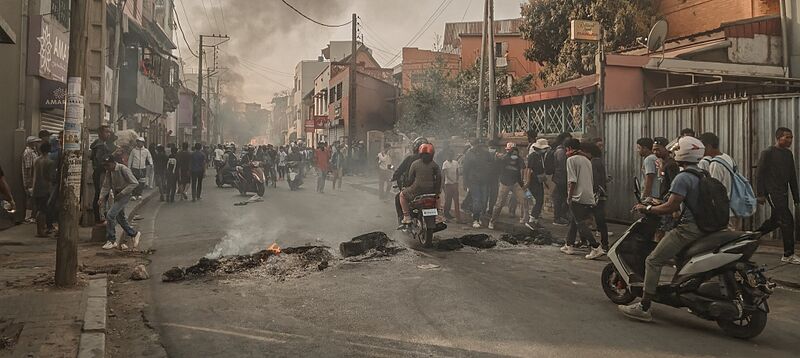 Gen Z (flatter cropped)