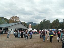 Graves Mountain festival, 2014