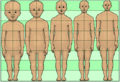 Human development neoteny body and head proportions pedomorphy maturation aging growth