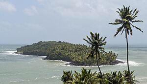 Ile du Diable depuis île Royale