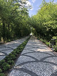 Istanbul Technical University walkway with trees