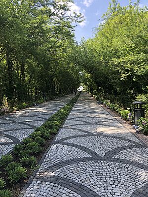 Istanbul Technical University walkway with trees