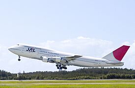 JAL to Japan-01+ (409761054)