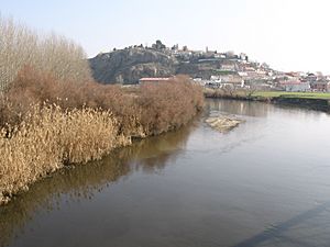 The Jarama river at Titulcia