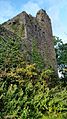 Kilcrea castle southeast tower