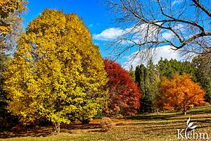 Klehm Arboretum & Botanic Garden Fall Colors