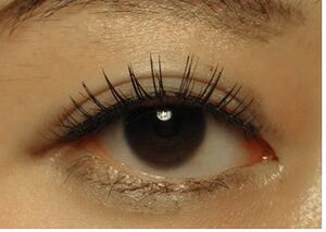 Lens5