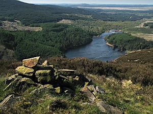 Loch Trool from Buchan Hill