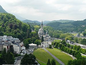 Lourdes basilique vue depuis château (3)