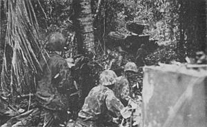 Marines advance into Coconut Grove on Bougainville November 1943.jpg