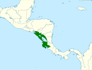 Melanerpes hoffmannii map.svg