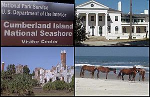 Montage Cumberland Island GA