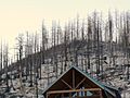 MtLemmon Summerhaven Recovery From Aspen Fire