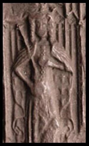 Muireadhach Dux Albaniae