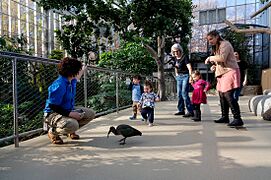 NationalAviary WetlandsGroup ElliotCramer 2022