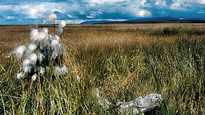 Near Hooper Bay Airport