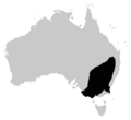 Neobatrachus sudelli distrib