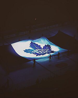 New year. New Leaf. -letsgo -nhl -season -TMLtalk -Toronto -Maple -Leafs -willalwaysbetheACCtome (36829756933)