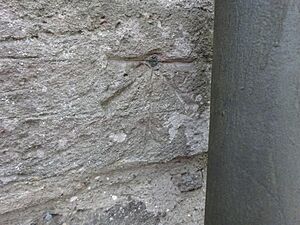OS Benchmark St Cosmas and St Damians