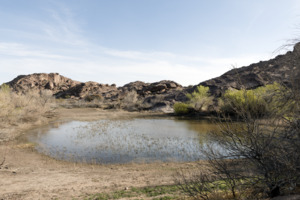 One of the "tanks" at Hueco Tanks State Historic Site near El Paso in El Paso County, Texas LCCN2014631159