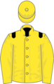 Owner Sheikh Ahmed Al Maktoum