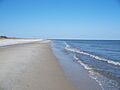 PC St George Island SP07