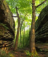Panther Rocks in Moshannon State Forest