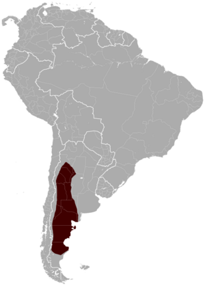 Patagonian Mara Dolichotis patagonum distribution map.png