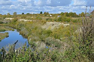 Pitstone Quarry 1.JPG