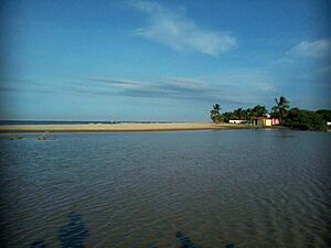 Beach in Machurucuto